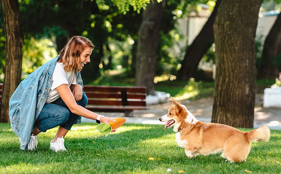 OEM/ODM Indestructible Rubber Squeaky Chew Pet Dog Toys with Tough Durable Teeth-Cleaning